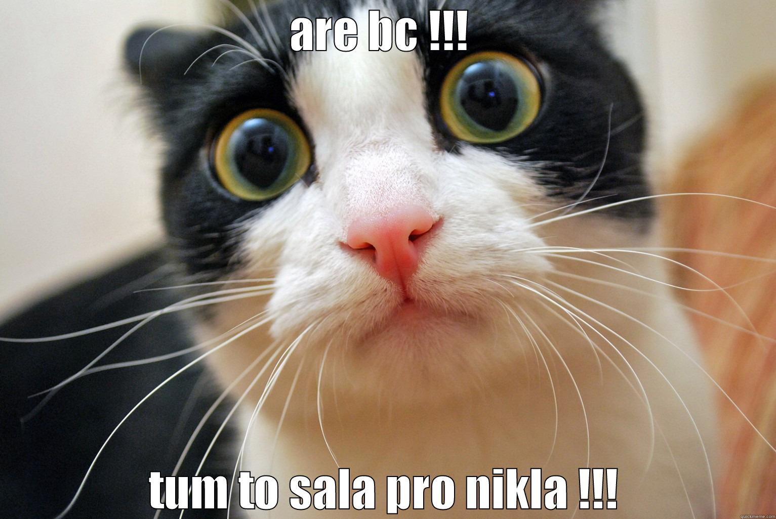 ARE BC !!!  TUM TO SALA PRO NIKLA !!! Misc