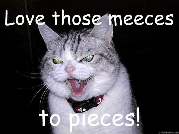 Love those meeces to pieces! - Love those meeces to pieces!  Misc