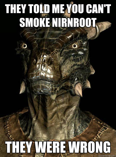 THEY TOLD ME YOU CAN'T SMOKE NIRNROOT THEY WERE WRONG - THEY TOLD ME YOU CAN'T SMOKE NIRNROOT THEY WERE WRONG  Ganjargonian