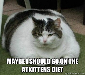  maybe i should go on the Atkittens Diet  Fat Cat