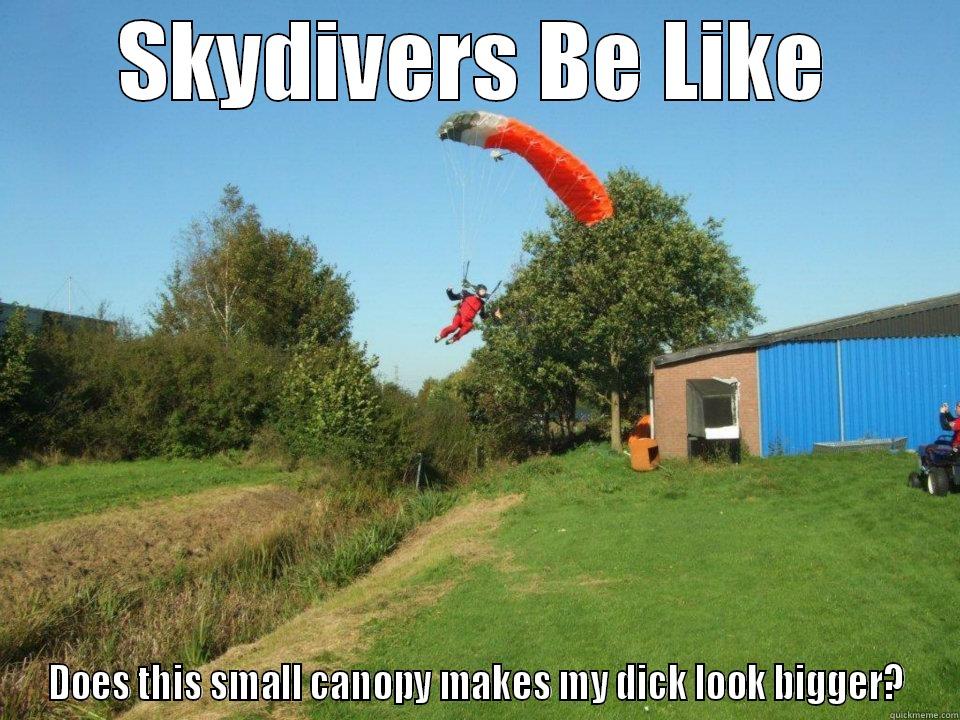Skydive Hoogeveen Swoop - SKYDIVERS BE LIKE DOES THIS SMALL CANOPY MAKES MY DICK LOOK BIGGER? Misc