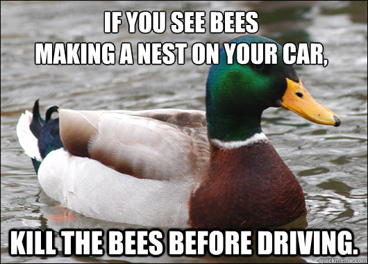 If you see bees
making a nest on your car, Kill the bees before driving.  Actual Advice Mallard