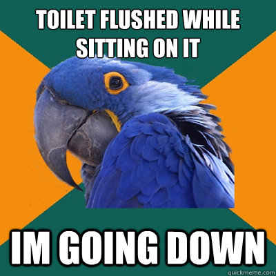 toilet flushed while sitting on it iM GOING down  Paranoid Parrot