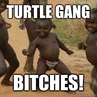 Turtle gang Bitches!  Its friday niggas