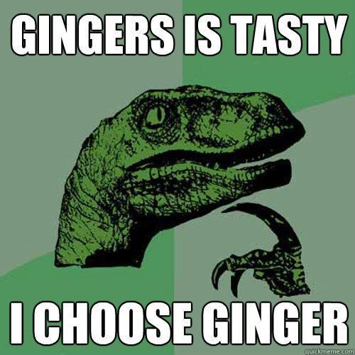 Gingers is tasty I choose ginger  Philosoraptor