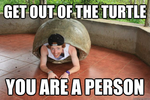 get out of the turtle you are a person  Crazy turtle man