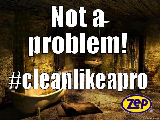 NOT A PROBLEM! #CLEANLIKEAPRO Misc