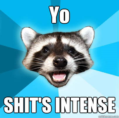 Yo SHIT'S INTENSE  Lame Pun Coon