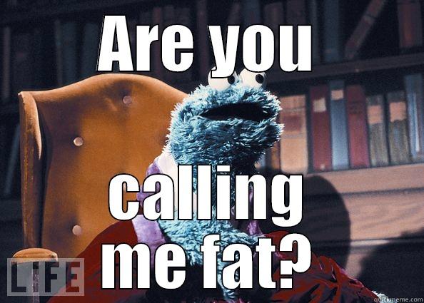 ARE YOU CALLING ME FAT? Cookie Monster