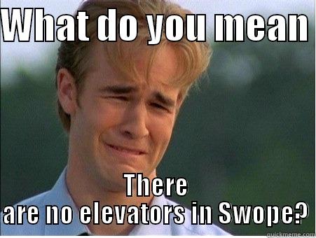 what do you mean?  - WHAT DO YOU MEAN  THERE ARE NO ELEVATORS IN SWOPE? 1990s Problems