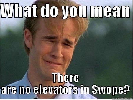 WHAT DO YOU MEAN  THERE ARE NO ELEVATORS IN SWOPE? 1990s Problems
