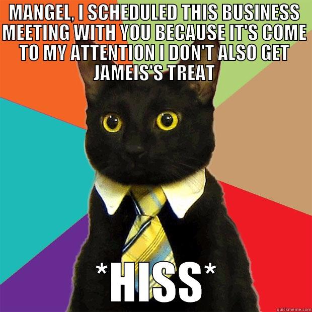 MANGEL, I SCHEDULED THIS BUSINESS MEETING WITH YOU BECAUSE IT'S COME TO MY ATTENTION I DON'T ALSO GET JAMEIS'S TREAT  *HISS* Business Cat