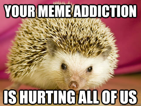 Your meme addiction is hurting all of us  Intervention Porcupine