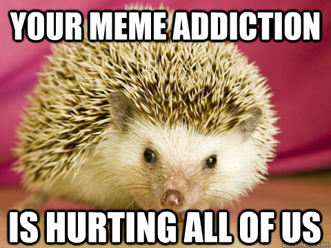 Your meme addiction is hurting all of us  