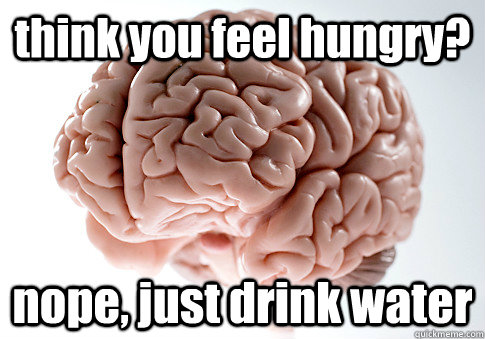 think you feel hungry? nope, just drink water   Scumbag Brain