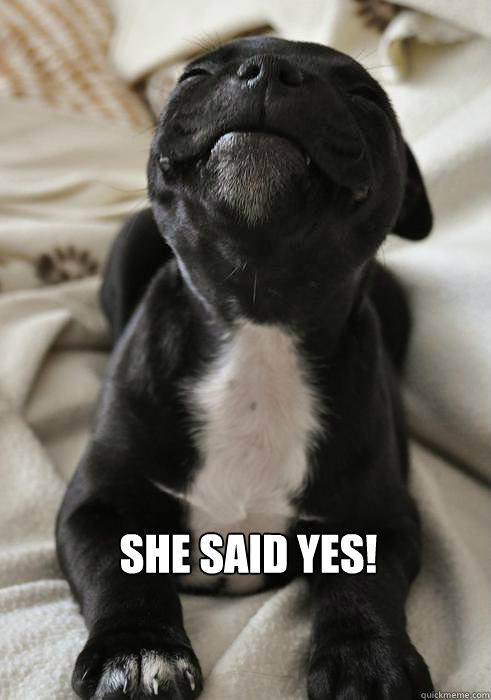  She said yes! -  She said yes!  Happy Pup