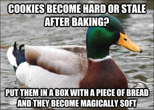 Cookies become hard or stale  after baking? Put them in a box with a piece of bread and they become magically soft  Actual Advice Mallard