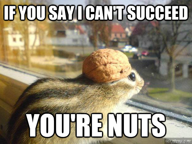 If you say I can't succeed You're nuts  Adventure Chipmunk