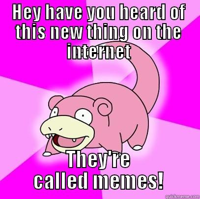 HEY HAVE YOU HEARD OF THIS NEW THING ON THE INTERNET THEY'RE CALLED MEMES! Slowpoke