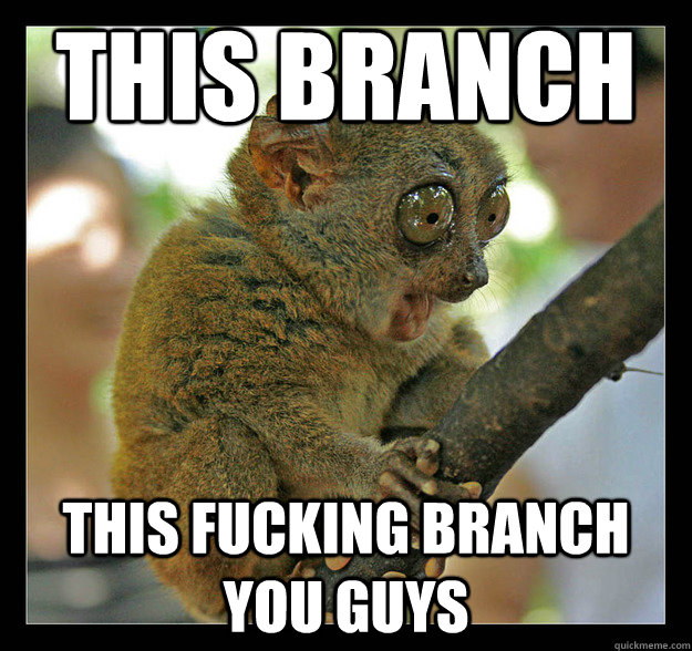 THIS BRANCH THIS FUCKING BRANCH YOU GUYS - THIS BRANCH THIS FUCKING BRANCH YOU GUYS  Stoner Torsier