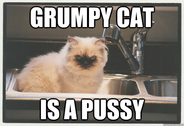 grumpy cat  is a pussy - grumpy cat  is a pussy  Evil Cat