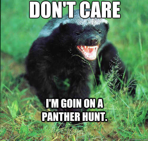 Don't Care
 I'm goin on a Panther hunt.  Honey Badger