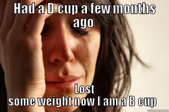  HAD A D CUP A FEW MONTHS AGO  LOST SOME WEIGHT NOW I AM A B CUP  First World Problems