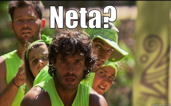NETA?  Misc