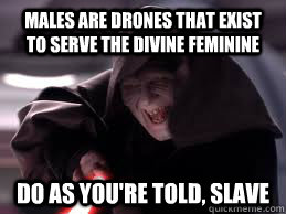 Males are drones that exist to serve the divine feminine Do as you're told, slave  Shit the Femistazi Says