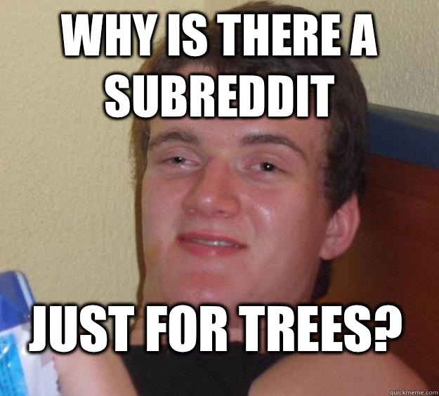 Why is there a subreddit Just for trees?  10 Guy