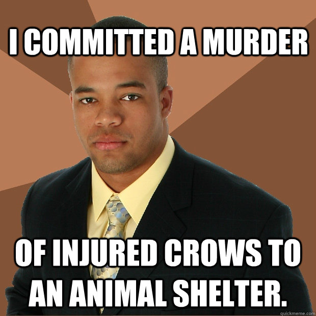 I committed a murder of injured crows to an animal shelter.  Successful Black Man