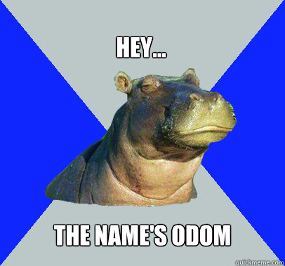 hey... the name's odom - hey... the name's odom  Skeptical Hippo