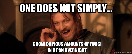 One does not simply... grow copious amounts of fungi 
in a pan overnight  Mordor