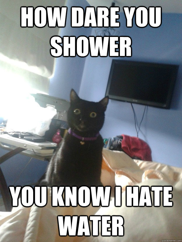 How dare you shower You know I hate water  overly attached cat