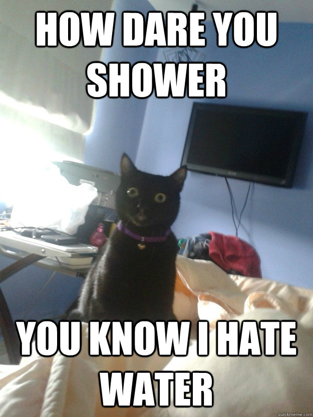 How dare you shower You know I hate water  overly attached cat