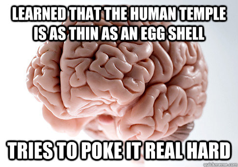 Learned that the human temple is as thin as an egg shell tries to poke it real hard  ScumbagBrain