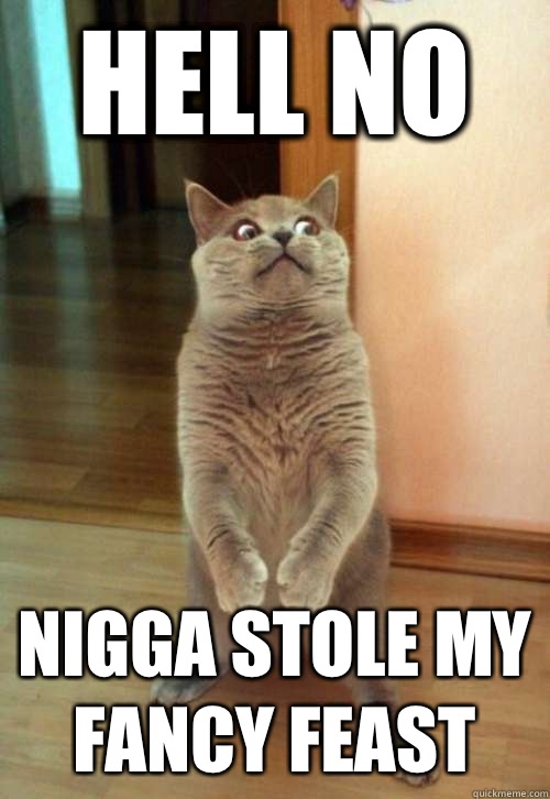 HELL NO NIGGA STOLE MY FANCY FEAST  Horrorcat