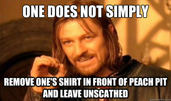 One does not simply remove one's shirt in front of peach pit and leave unscathed - One does not simply remove one's shirt in front of peach pit and leave unscathed  Boromir