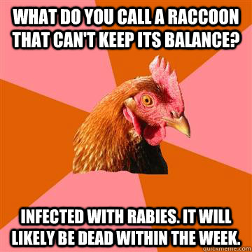 What do you call a raccoon that can't keep its balance? Infected with rabies. It will likely be dead within the week.  Anti-Joke Chicken
