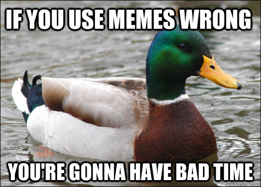 if you use memes wrong You're gonna have bad time  Actual Advice Mallard