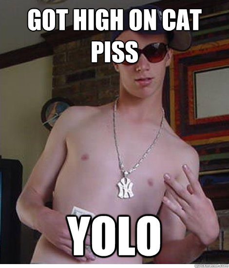 got high on cat piss YOLO  