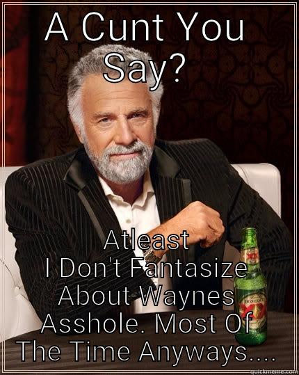 A CUNT YOU SAY? ATLEAST I DON'T FANTASIZE ABOUT WAYNES ASSHOLE. MOST OF THE TIME ANYWAYS.... The Most Interesting Man In The World