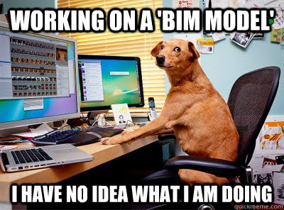 Working on a 'BIM Model' I have no idea what I am doing - Working on a 'BIM Model' I have no idea what I am doing  Computer dog