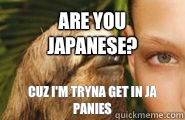 Are you Japanese?  Cuz I'm tryna get in ja panies  Creepy Sloth