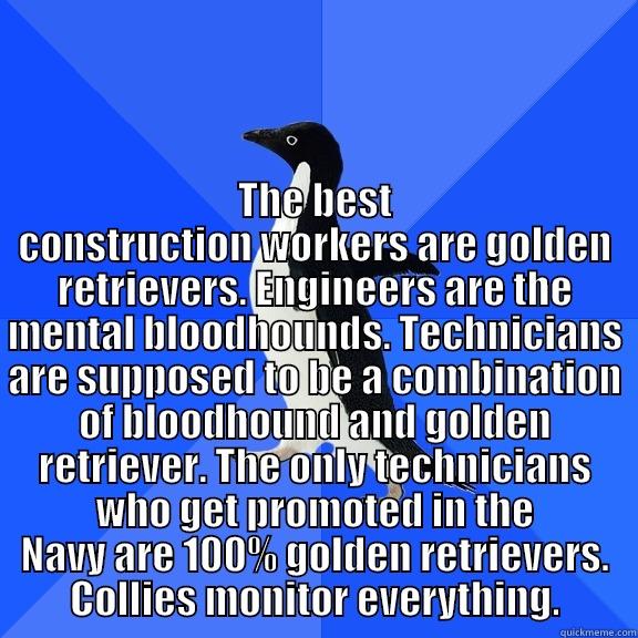 THE BEST CONSTRUCTION WORKERS ARE GOLDEN RETRIEVERS. ENGINEERS ARE THE MENTAL BLOODHOUNDS. TECHNICIANS ARE SUPPOSED TO BE A COMBINATION OF BLOODHOUND AND GOLDEN RETRIEVER. THE ONLY TECHNICIANS WHO GET PROMOTED IN THE NAVY ARE 100% GOLDEN RETRIEVERS. COLLI Socially Awkward Penguin