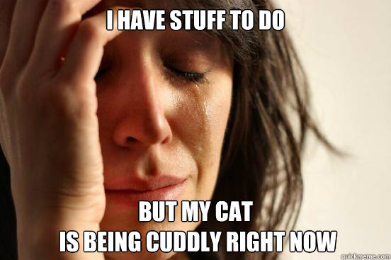 i have stuff to do but my cat
 is being cuddly right now  First World Problems