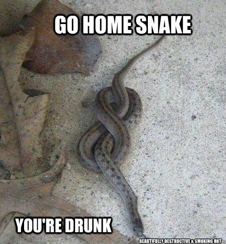 go home snake you're drunk beautifully destructive & smoking hot   