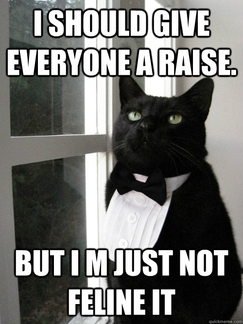 I should give everyone a raise.  But I m just not feline it   One Percent Cat