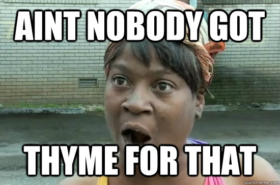 Aint nobody got thyme for that  Aint nobody got time for that