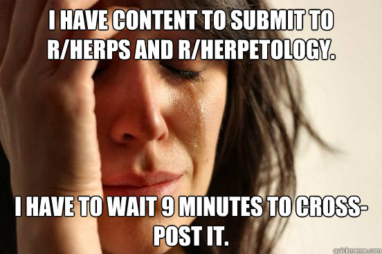 I have content to submit to r/herps and r/herpetology. I have to wait 9 minutes to cross-post it.  First World Problems